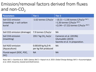 Mangrove emission factors: Scientific background on key emission factors