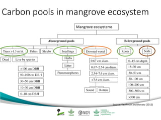 Mangrove emission factors: Scientific background on key emission factors