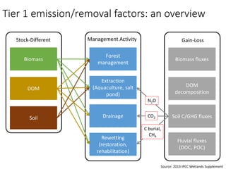 Mangrove emission factors: Scientific background on key emission factors
