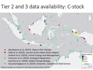 Mangrove emission factors: Scientific background on key emission factors