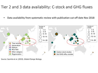 Mangrove emission factors: Scientific background on key emission factors