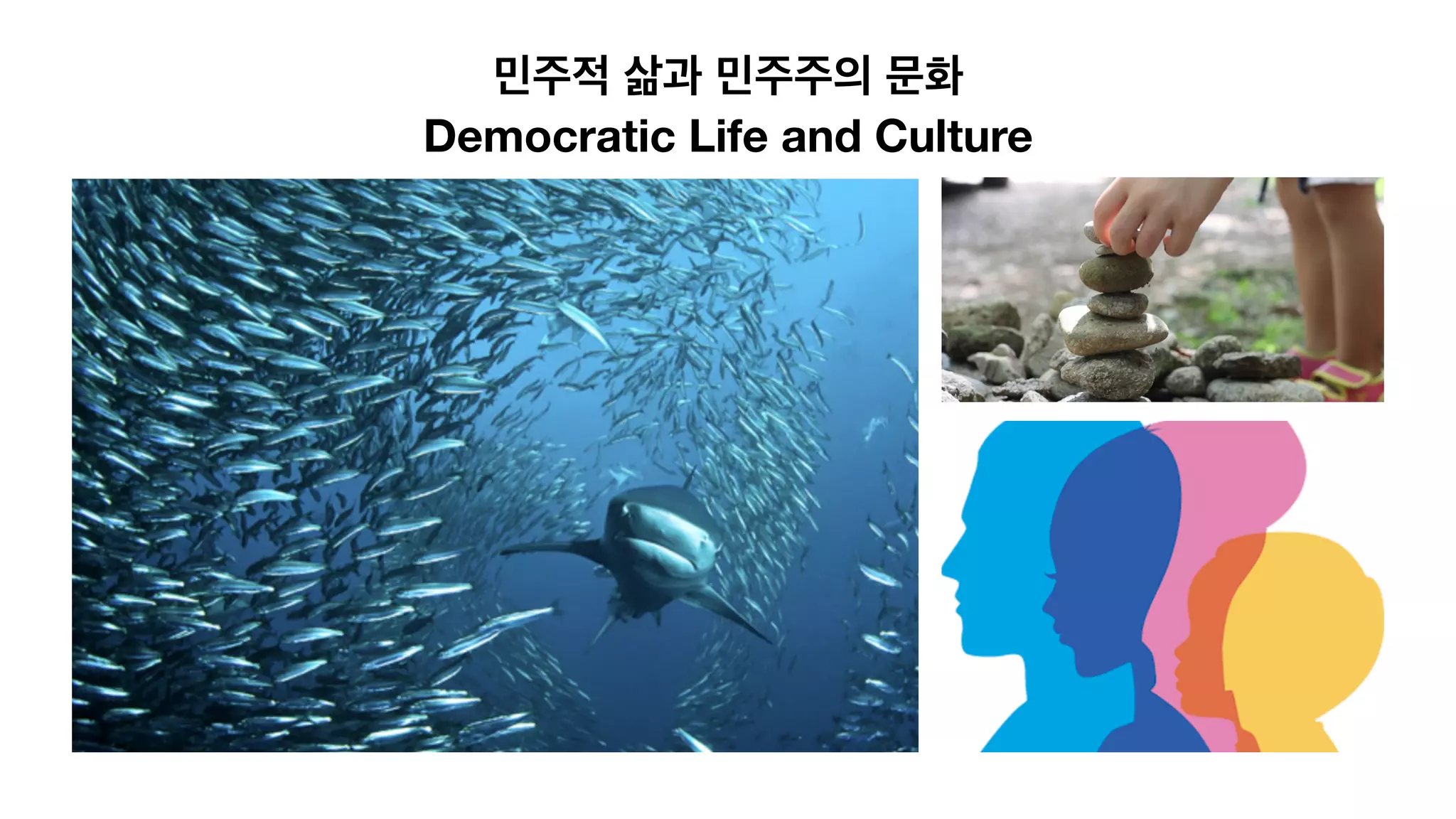 민주적 삶과 민주주의 문화
Democratic Life and Culture
 