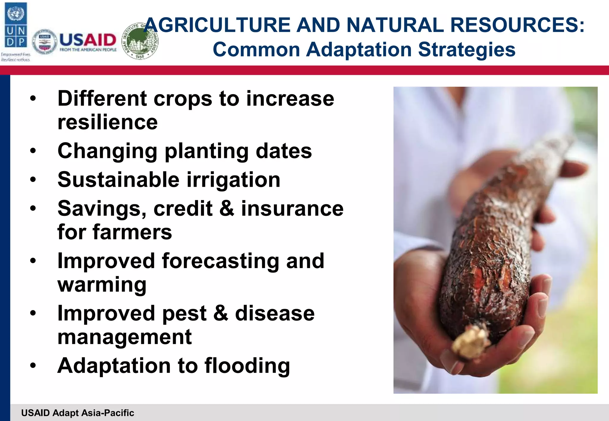 USAID Adapt Asia-Pacific
AGRICULTURE AND NATURAL RESOURCES:
Common Adaptation Strategies
• Different crops to increase
resilience
• Changing planting dates
• Sustainable irrigation
• Savings, credit & insurance
for farmers
• Improved forecasting and
warming
• Improved pest & disease
management
• Adaptation to flooding
 