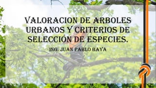 VALORACION DE ARBOLES
URBANOS y criterios de
selección de especies.
Ing. Juan Pablo Baya
 