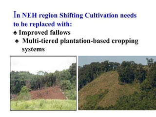 Session 5.4 agroforestry for rehabilitation of degraded lands | PPT