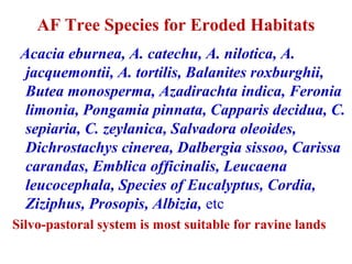 Session 5.4 agroforestry for rehabilitation of degraded lands | PPT