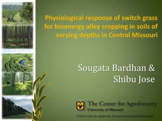 Physiological response of switch grass
for bioenergy alley cropping in soils of
varying depths in Central Missouri

Sougata Bardhan &
Shibu Jose

 