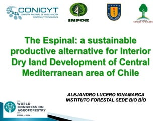 The Espinal: a sustainable
productive alternative for Interior
Dry land Development of Central
Mediterranean area of Chile
ALEJANDRO LUCERO IGNAMARCA
INSTITUTO FORESTAL SEDE BIO BÍO

 