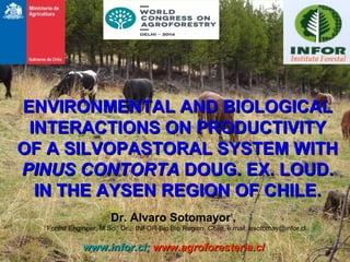 ENVIRONMENTAL AND BIOLOGICAL
INTERACTIONS ON PRODUCTIVITY
OF A SILVOPASTORAL SYSTEM WITH
PINUS CONTORTA DOUG. EX. LOUD.
IN THE AYSEN REGION OF CHILE.
Dr. Alvaro Sotomayor1,
1

Forest Engineer, M.Sc., Dr., INFOR Bio Bio Region, Chile, e.mail: asotomay@infor.cl

www.infor.cl; www.agroforesteria.cl

 