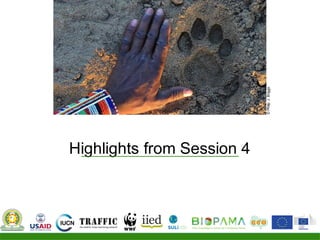 Highlights from Session 4
©PhilipJ.Briggs
 