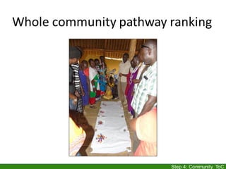 Whole community pathway ranking
Step 4: Community ToC
 