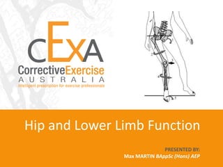 Hip and Lower Limb Function PRESENTED BY: Max MARTIN BAppSc (Hons) AEP 
