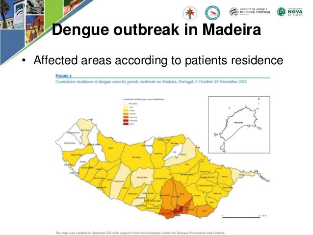 Dengue Fieber Madeira Aktueller Stand