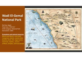 Wadi El-Gemal
National Park
Red Sea, Egypt
Total Area: 7450 Km2
IUCN category: National Park
Declaration: 2003
Ecosystems and natural resources:
Marine and desert, coral reefs,
mangroves, islands, coastal areas,
beaches, birds, fish, large marine
mammals, reptiles,, ancient
artifacts, temples, and local people
 