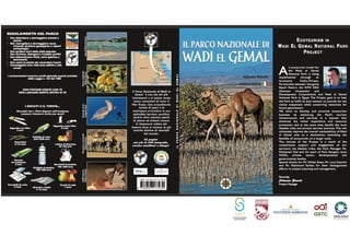 Made in Egypt Gift Shop
 