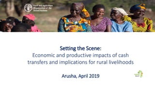 Setting the Scene:
Economic and productive impacts of cash
transfers and implications for rural livelihoods
Arusha, April 2019
 
