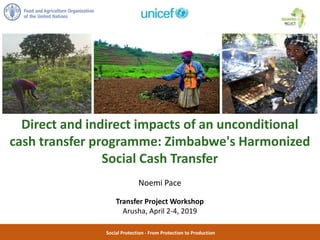 Social Protection - From Protection to Production
Direct and indirect impacts of an unconditional
cash transfer programme: Zimbabwe's Harmonized
Social Cash Transfer
Noemi Pace
Transfer Project Workshop
Arusha, April 2-4, 2019
 
