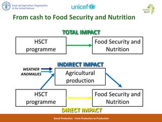 Social Protection - From Protection to Production
From cash to Food Security and Nutrition
HSCT
programme
Food Security an...