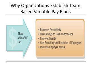 Why Organizations Establish Team
Based Variable Pay Plans
 