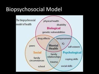 Biopsychosocial Model
 