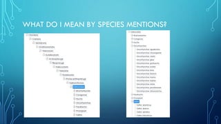 WHAT DO I MEAN BY SPECIES MENTIONS?
 