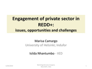 Engagement of private sector in
REDD+:
issues, opportunities and challenges
Marisa Camargo
University of Helsinki; Indufor
Isilda Nhantumbo - IIED

12/02/2014

World Agroforestry Congress
New Delhi, India

1

 