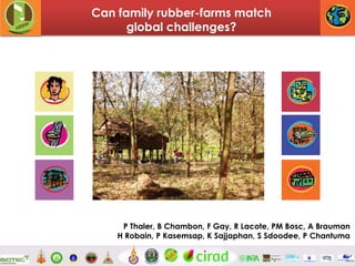 Can family rubber-farms match
global challenges?

P Thaler, B Chambon, F Gay, R Lacote, PM Bosc, A Brauman
H Robain, P Kasemsap, K Sajjaphan, S Sdoodee, P Chantuma
1

 