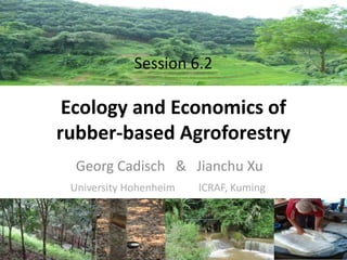 Session 6.2

Ecology and Economics of
rubber-based Agroforestry
Georg Cadisch & Jianchu Xu
University Hohenheim

ICRAF, Kuming

 