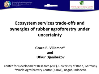 Ecosystem services trade-offs and
synergies of rubber agroforestry under
uncertainty
Grace B. Villamor*
and
Utkur Djanibekov
Center for Development Research (ZEF), University of Bonn, Germany
*World Agroforestry Centre (ICRAF), Bogor, Indonesia

 