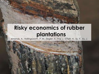 Risky economics of rubber
plantations

Ahrends, A., Hollingsworth, P. M., Ziegler, A., Fox, J., Chen, H., Su, Y., Xu, J.

 