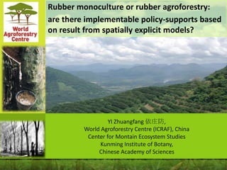 Rubber monoculture or rubber agroforestry:
are there implementable policy-supports based
on result from spatially explicit models?

YI Zhuangfang 依庄防,
World Agroforestry Centre (ICRAF), China
Center for Montain Ecosystem Studies
Kunming Institute of Botany,
Chinese Academy of Sciences

 