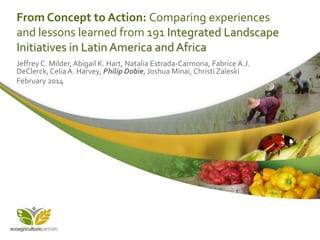 From Concept to Action: Comparing experiences
and lessons learned from 191 Integrated Landscape
Initiatives in Latin America and Africa
Jeffrey C. Milder, Abigail K. Hart, Natalia Estrada-Carmona, Fabrice A.J.
DeClerck, Celia A. Harvey, Philip Dobie, Joshua Minai, Christi Zaleski
February 2014

 