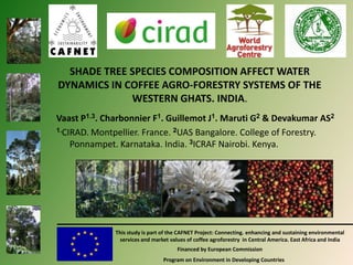 SHADE TREE SPECIES COMPOSITION AFFECT WATER
DYNAMICS IN COFFEE AGRO-FORESTRY SYSTEMS OF THE
WESTERN GHATS. INDIA.
Vaast P1.3. Charbonnier F1. Guillemot J1. Maruti G2 & Devakumar AS2
1.CIRAD. Montpellier. France. 2UAS Bangalore. College of Forestry.
Ponnampet. Karnataka. India. 3ICRAF Nairobi. Kenya.

This study is part of the CAFNET Project: Connecting. enhancing and sustaining environmental
services and market values of coffee agroforestry in Central America. East Africa and India
Financed by European Commission
Program on Environment in Developing Countries

 