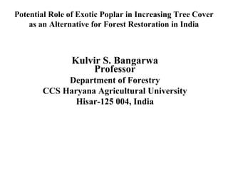 Potential Role of Exotic Poplar in Increasing Tree Cover
as an Alternative for Forest Restoration in India

Kulvir S. Bangarwa
Professor
Department of Forestry
CCS Haryana Agricultural University
Hisar-125 004, India

 