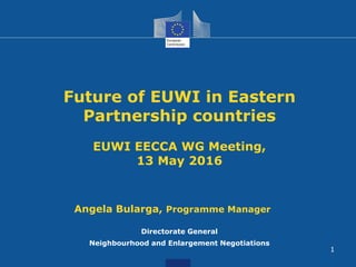 Future of EUWI in Eastern
Partnership countries
EUWI EECCA WG Meeting,
13 May 2016
Directorate General
Neighbourhood and Enlargement Negotiations
1
Angela Bularga, Programme Manager
 