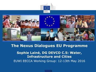 for action
The Nexus Dialogues EU Programme
Sophie Lainé, DG DEVCO C.5: Water,
Infrastructure and Cities
EUWI EECCA Working Group: 12-13th May 2016
 