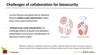 biosecurity built on science
Challenges of collaboration for biosecurity
• current biosecurity governance network
favours within-scale interactions rather
than cross-scale interactions
• limited cross-scale interactions can
challenge efforts to build trust between
stakeholders and ensure coordination of
decisions across scales
McAllister R, Robinson CJ, Maclean K, Guerrero A, Collins K, Taylor B, De Barro P. 2015. From local to central: A
network analysis of who manages plant pest and disease outbreaks across scales. Ecology and Society 20(1): 67.
 