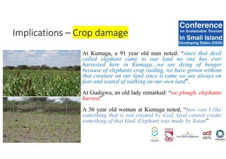 At Kumaga, a 91 year old man noted: “since that devil
called elephant came to our land no one has ever
harvested here in Kumaga…we are dying of hunger
because of elephants crop raiding, we have grown without
that creature on our land since it came we are always on
fear and scared of walking on our own land”.
At Gudigwa, an old lady remarked: “we plough, elephants
harvest”
A 36 year old woman at Kumaga noted, “how can I like
something that is not created by God. God cannot create
something of that kind. Elephant was made by Satan”
Implications – Crop damage
 
