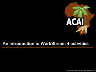 An introduction to WorkStream 4 activities
www.iita.org | www.cgiar.org | www.acai-project.org
 