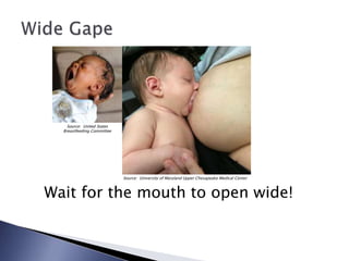 Wait for the mouth to open wide!
Source: University of Maryland Upper Chesapeake Medical Center
Source: United States
Breastfeeding Committee
 