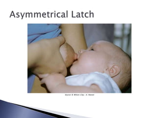 Source: B. Wilson-Clay / K. Hoover
 