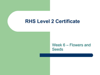 RHS Level 2 Certificate Week 6 – Flowers and Seeds 