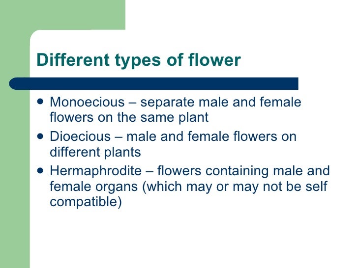 RHS Level 2 Year 1 Week 6 2011