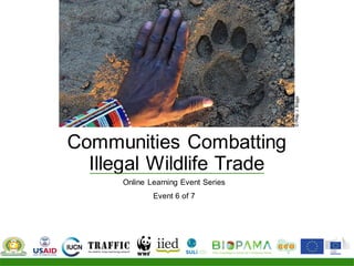 Communities Combatting
Illegal Wildlife Trade
Online Learning Event Series
Event 6 of 7
©PhilipJ.Briggs
 