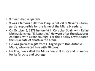 X means bat in Spanish X was a famous bull from Joaquin del Val di Navarra's farm, partly responsible for the fame of the Miura breeders. On October 5, 1879 he fought in Córdoba, Spain with Rafael Molina Sanchez, "El Lagartijo." He went after the picadores 24 times, with a rare courage. For this display X was spared the usual fate of death in the arena.  He was given as a gift from El Lagartijo to Don Antonio Miura, who mated him with 70 cows. His line, now called the Miura line, still exists and is famous for its ferocity and courage 
