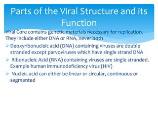 Viral Core contains genetic materials necessary for replication.
They include either DNA or RNA, never both
Deoxyribonucleic acid (DNA) containing viruses are double
stranded except parvoviruses which have single strand DNA
 Ribonucleic Acid (RNA) containing viruses are single stranded.
Example human immunodeficiency virus (HIV)
 Nucleic acid can either be linear or circular, continuous or
segmented
Parts of the Viral Structure and its
Function
 