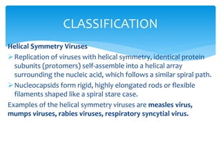 Helical Symmetry Viruses
Replication of viruses with helical symmetry, identical protein
subunits (protomers) self-assemble into a helical array
surrounding the nucleic acid, which follows a similar spiral path.
Nucleocapsids form rigid, highly elongated rods or flexible
filaments shaped like a spiral stare case.
Examples of the helical symmetry viruses are measles virus,
mumps viruses, rabies viruses, respiratory syncytial virus.
CLASSIFICATION
 