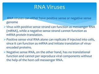 RNA viruses can either have positive sense or negative sense
genome
Virus with positive sense strand can function as messenger RNA
(mRNA), while a negative sense strand cannot function as
mRNA protein translation.
Positive sense viral RNA alone can replicate if injected into cells,
since it can function as mRNA and initiate translation of virus-
encoded proteins.
Negative sense RNA, on the other hand, has no translational
function and cannot per seproduce viral components without
the help of the host cell messenger RNA.
RNA Viruses
 