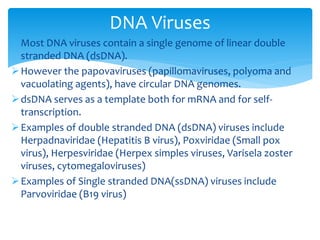 Most DNA viruses contain a single genome of linear double
stranded DNA (dsDNA).
However the papovaviruses (papillomaviruses, polyoma and
vacuolating agents), have circular DNA genomes.
dsDNA serves as a template both for mRNA and for self-
transcription.
Examples of double stranded DNA (dsDNA) viruses include
Herpadnaviridae (Hepatitis B virus), Poxviridae (Small pox
virus), Herpesviridae (Herpex simples viruses, Varisela zoster
viruses, cytomegaloviruses)
Examples of Single stranded DNA(ssDNA) viruses include
Parvoviridae (B19 virus)
DNA Viruses
 