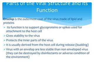 Envelop is the outermost coat of the virus made of lipid and
proteins
 Its function is to support glycoproteins or spikes used for
attachment to the host cell
Gives stability to the virus
Protects the inner parts of the virus
It is usually derived from the host cell during release (budding)
Virus with an envelop are less stable than non enveloped virus
(they can be destroyed by disinfectants or adverse condition of
the environment)
Parts of the Viral Structure and its
Function
 